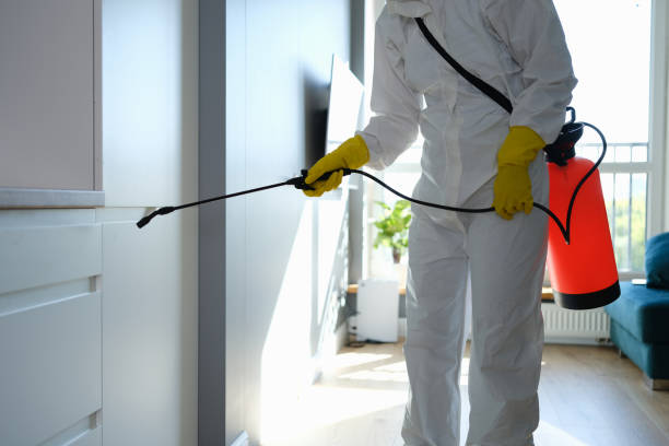 Best Certified Mold Removal  in Del Norte, CO