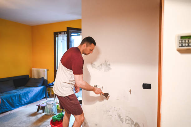 Attic Mold Removal in Del Norte, CO
