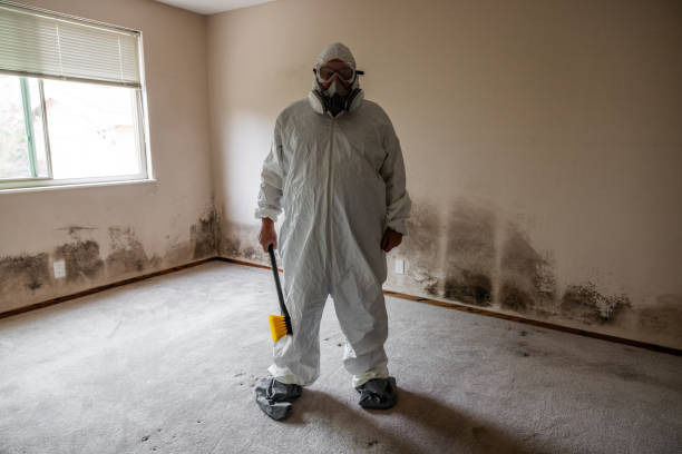 Best Residential Mold Removal  in Del Norte, CO